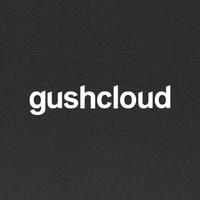 Gushcloudの会社情報