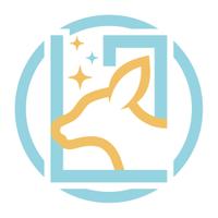 Luface incの会社情報