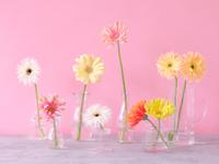 About Loomin株式会社 予定