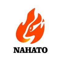 株式会社ナハトの会社情報