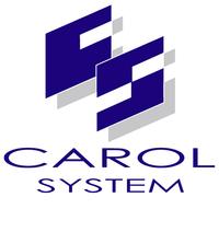 キャロルシステム株式会社の会社情報