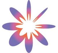 About 中園ホールディングス株式会社