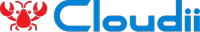 株式会社Cloudiiの会社情報