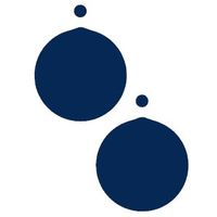 CAPS株式会社の会社情報
