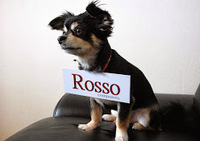 株式会社Rossoの会社情報