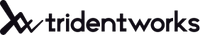 株式会社トライデントワークスの会社情報