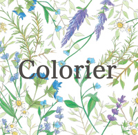 About 株式会社Colorier