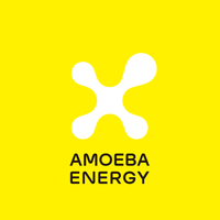 Amoeba Energy株式会社の会社情報