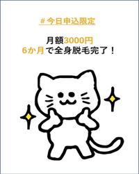 wの会社情報