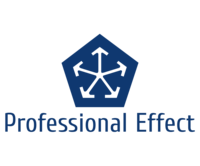 About 株式会社プロフェッショナルエフェクト