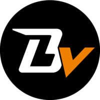 株式会社Braveridgeの会社情報