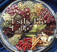 株式会社プロラボホールディングスの会社情報