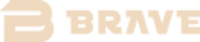 株式会社ブレイブの会社情報