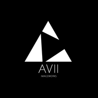 株式会社AVII IMAGEWORKSの会社情報