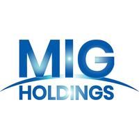 MIGホールディングス株式会社の会社情報