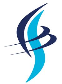 About 株式会社BSS