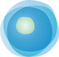 About ライフマティックス株式会社 