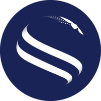 About Synspective