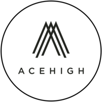 株式会社ACEHIGHの会社情報