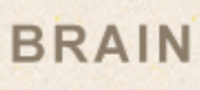 株式会社ブレーンの会社情報