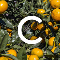 About CARE.Inc