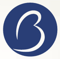 ブルー・マーリン・パートナーズ株式会社の会社情報