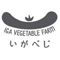 About 伊賀ベジタブルファーム株式会社