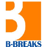株式会社ビーブレックスの会社情報