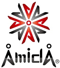 株式会社AmidAの会社情報