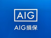 AIG損害保険株式会社の会社情報