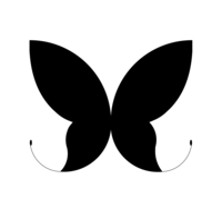 About 株式会社Papillon