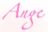 アンジュ株式会社の会社情報