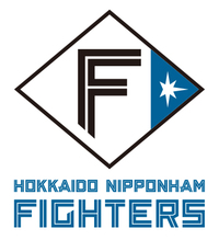 ！期間限定！(旧ロゴ)非売品！日本ハムファイターズ応援旗！ 期間限定！(旧ロゴ)非売品！日本ハムファイターズ応援旗