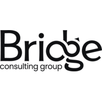 ブリッジコンサルティンググループ株式会社の会社情報