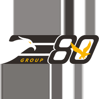 E80グループジャパン合同会社の会社情報