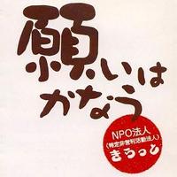 特定非営利活動法人きらっとの会社情報