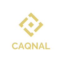 株式会社CAQNALの会社情報