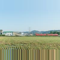 石川メリヤス有限会社の会社情報