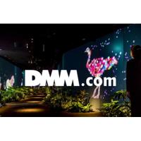 合同会社DMM.comの会社情報