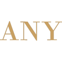 株式会社ANYの会社情報
