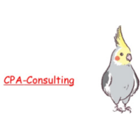 合同会社CPA-Consulting の会社情報