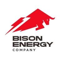 Ｂｉｓｏｎ　ｅｎｅｒｇｙ株式会社の会社情報