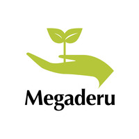 株式会社メガデルの会社情報