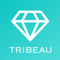 株式会社トリビューの会社情報