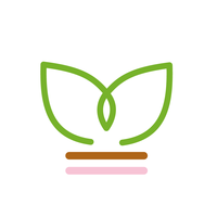 MENOTO 株式会社の会社情報