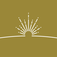 ファーストライト・キャピタル株式会社の会社情報