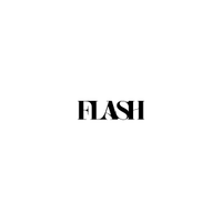 FLASH株式会社の会社情報