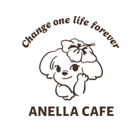 株式会社DTの会社情報