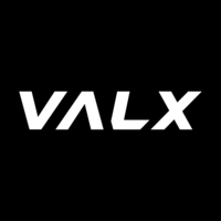 VALX株式会社の会社情報