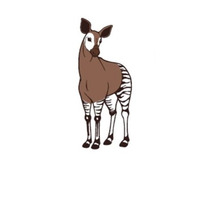 おかぴファーマシーシステム株式会社の会社情報